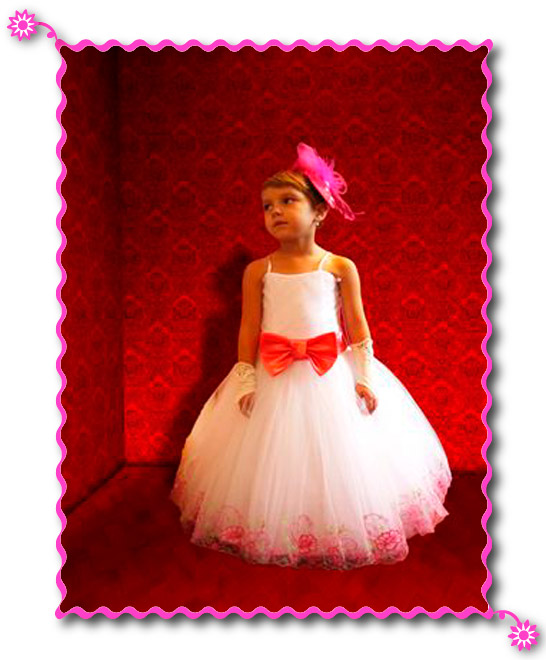 ������� ������ ����� ������ ������� ���� 8953